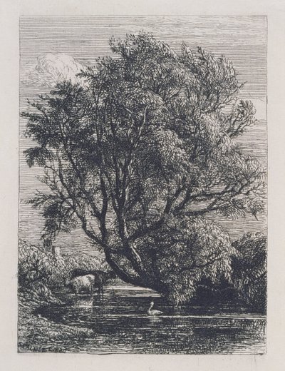 Le saule - Samuel Palmer